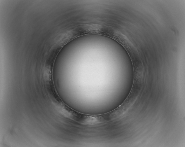 X0000110930083200906181438