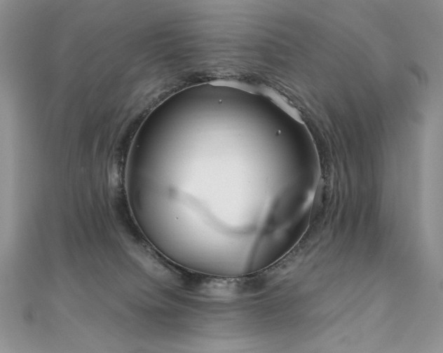 X0000110930084200906181438