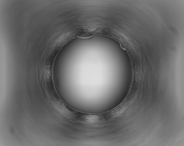 X0000110930085200906181438