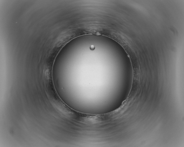 X0000110930086200906181438