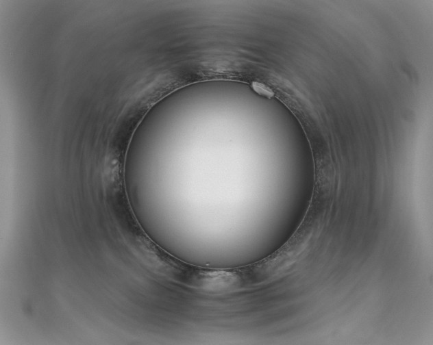 X0000110930087200906181438