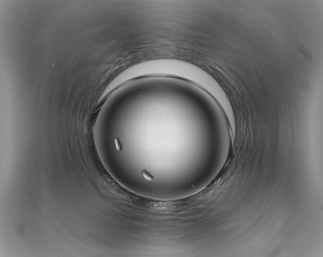 X0000110930088200906181438