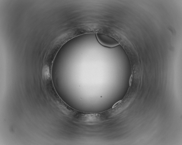 X0000110930089200906181438