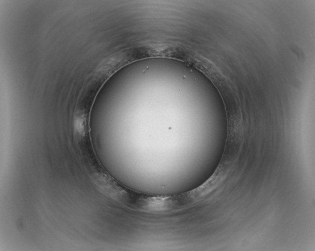 X0000110930090200906181438