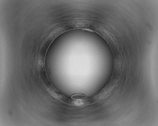 X0000110930091200906181438