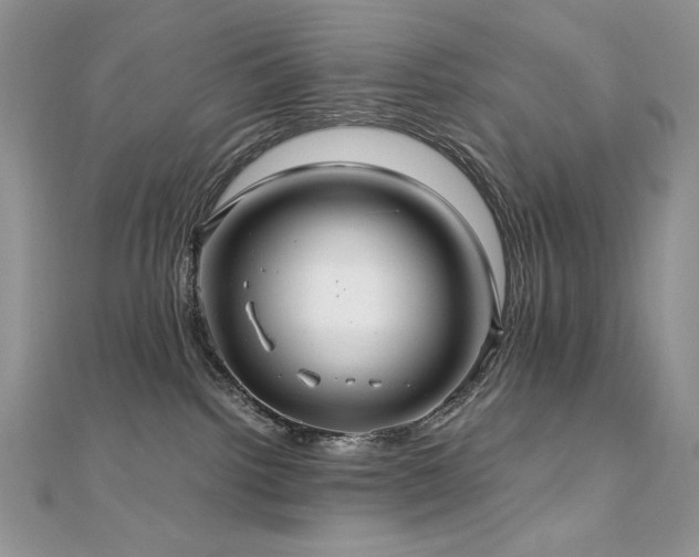 X0000110930092200906181438