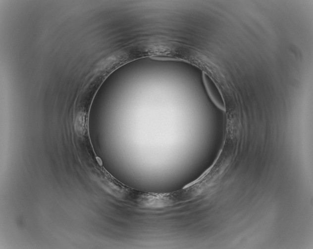 X0000110930093200906181438