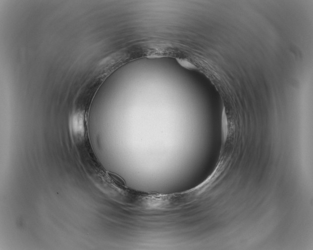 X0000110930094200906181438