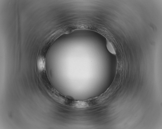 X0000110930095200906181438