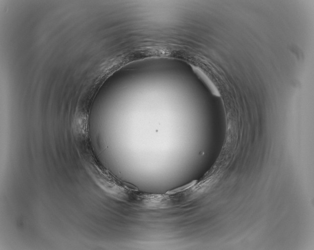 X0000110930096200906181438