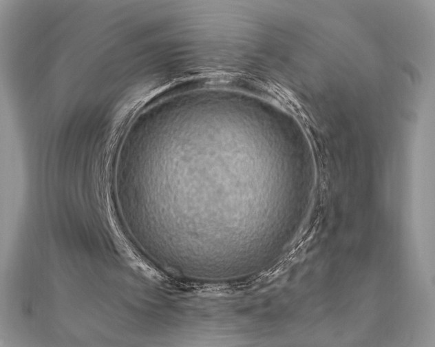 X0000110930097200906181437