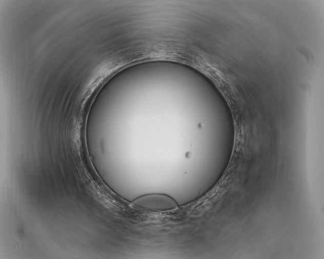 X0000110930098200906181437