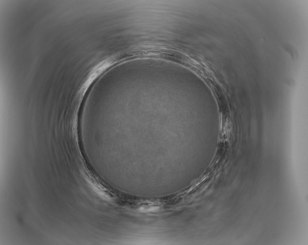 X0000110930099200906181437