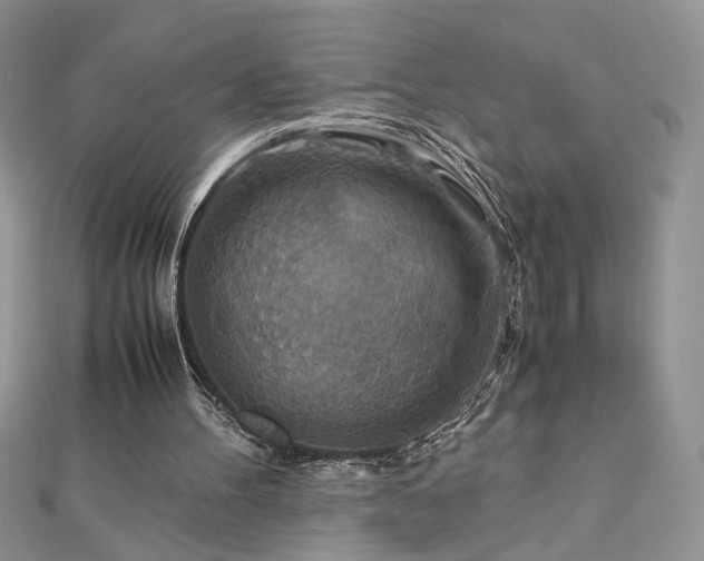 X0000110930100200906181437