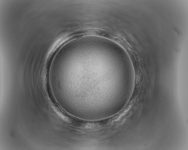 X0000110930101200906181437