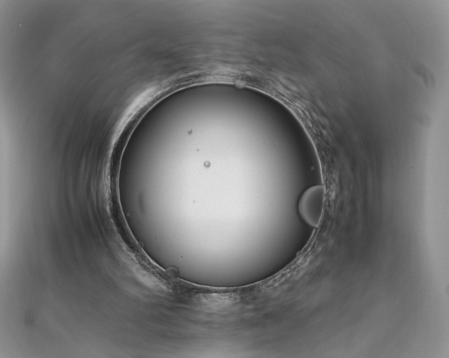 X0000110930102200906181437
