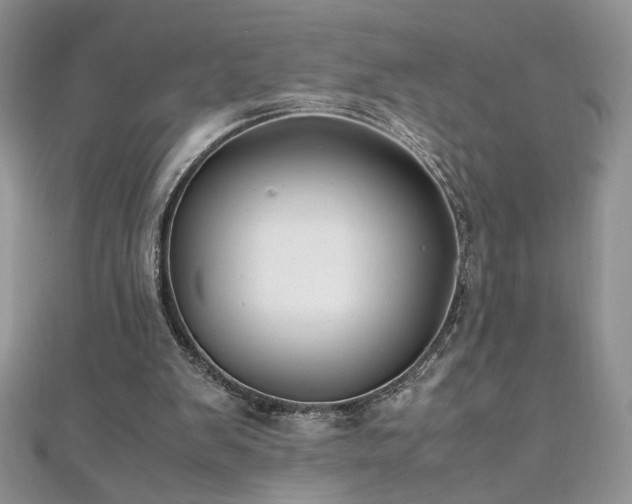 X0000110930103200906181437