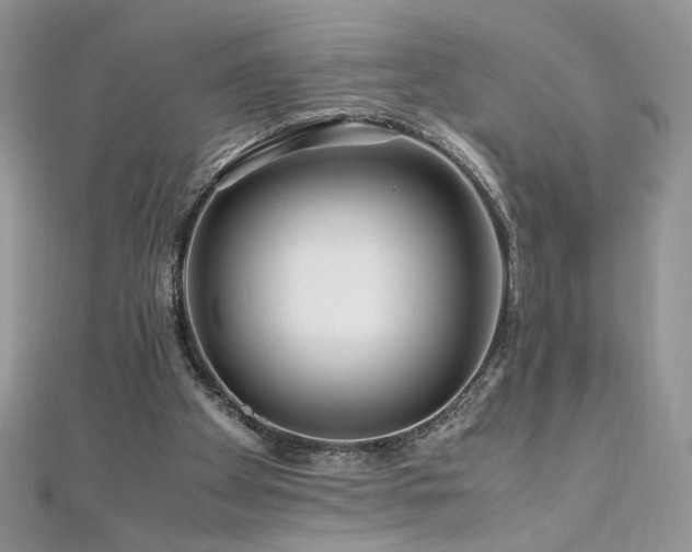 X0000110930105200906181437