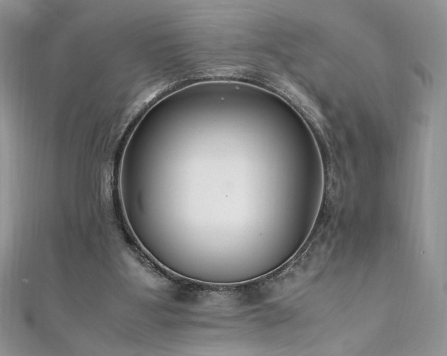 X0000110930107200906181437