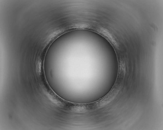X0000110930110200906181437