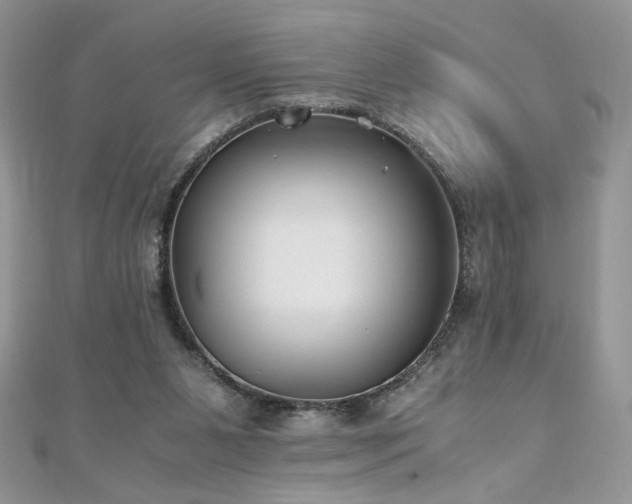 X0000110930111200906181437