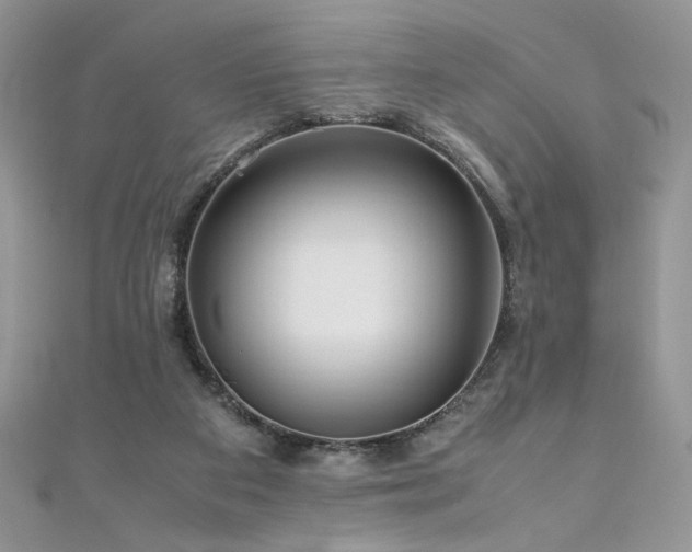X0000110930113200906181437