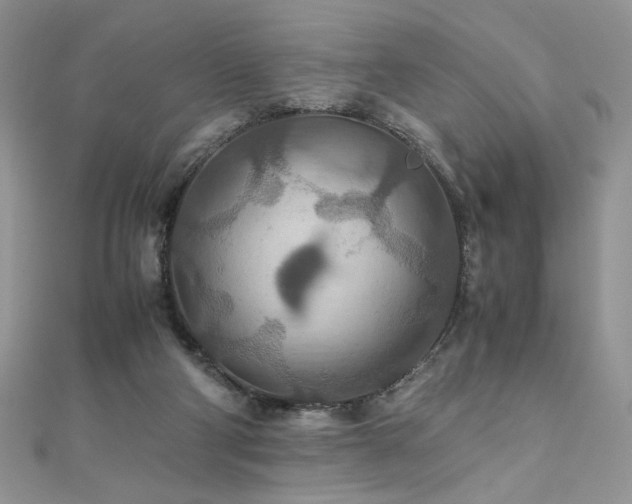 X0000110930114200906181437