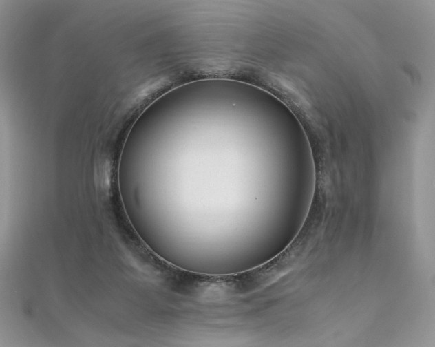 X0000110930115200906181437