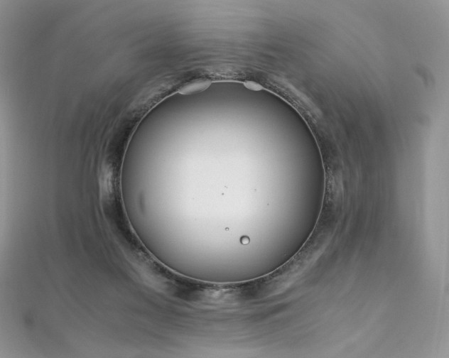 X0000110930117200906181437