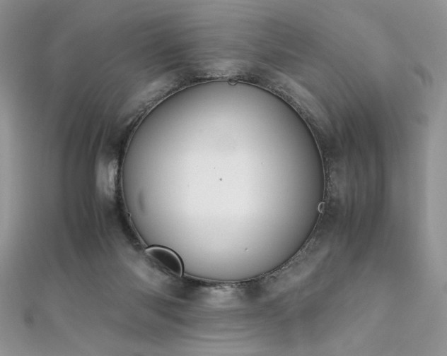 X0000110930118200906181437