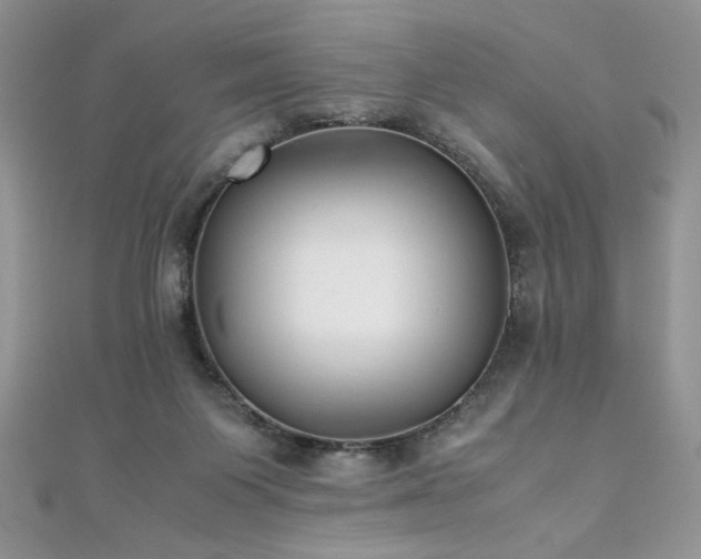 X0000110930119200906181437