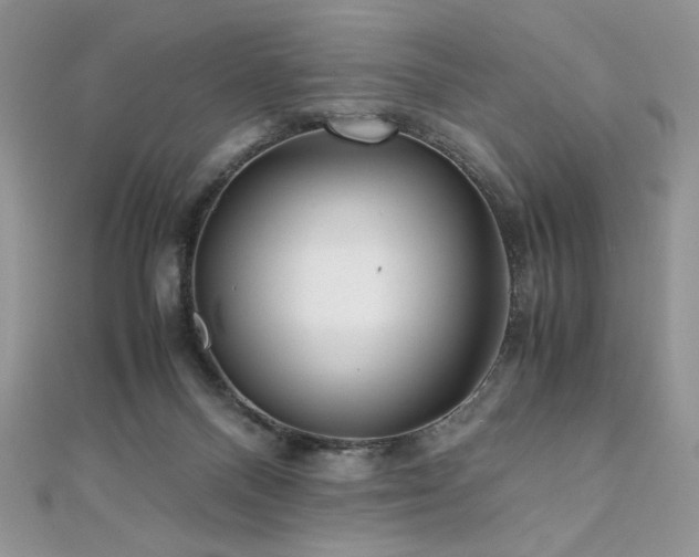 X0000110930120200906181437