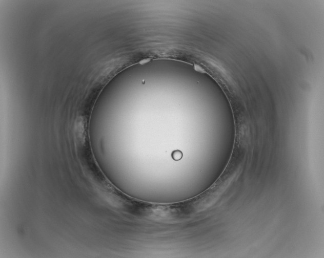 X0000110930121200906181437