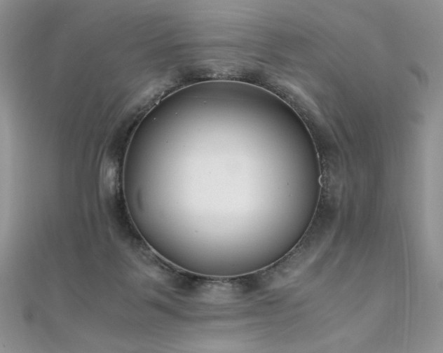 X0000110930123200906181437