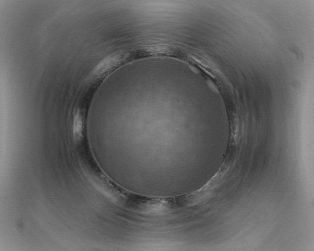 X0000110930124200906181437