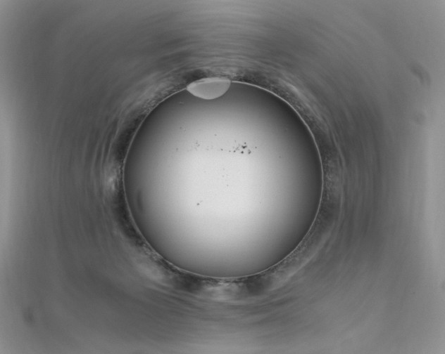 X0000110930125200906181437