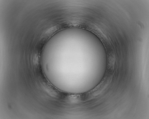 X0000110930126200906181437