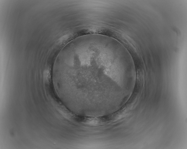 X0000110930127200906181437