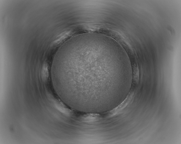 X0000110930128200906181437