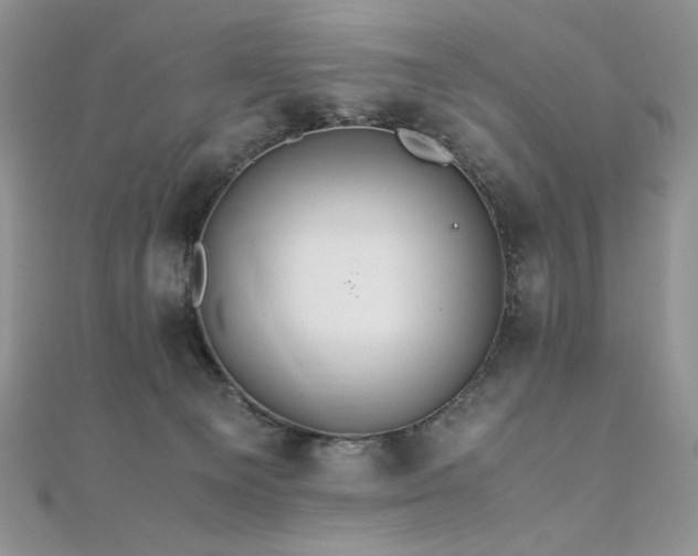 X0000110930129200906181437