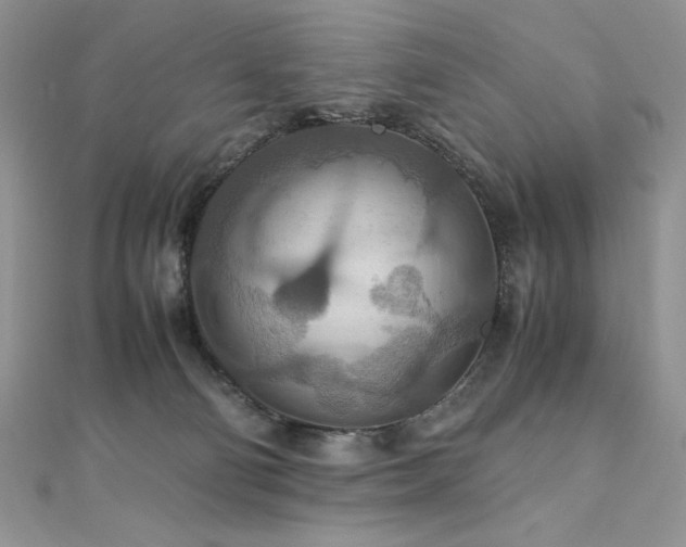 X0000110930130200906181437