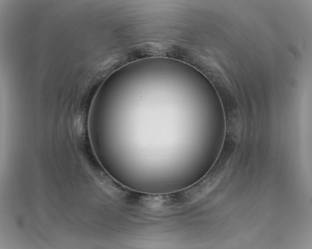 X0000110930131200906181437