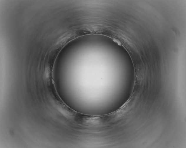 X0000110930132200906181437