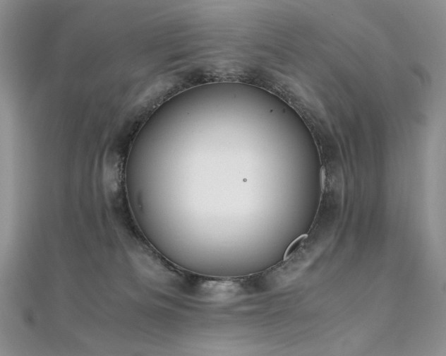 X0000110930133200906181437