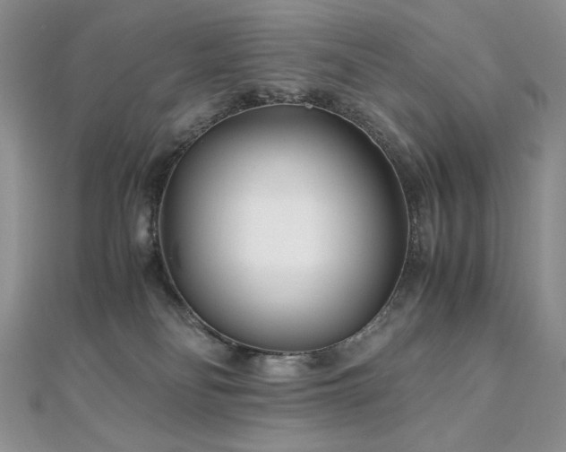 X0000110930134200906181437