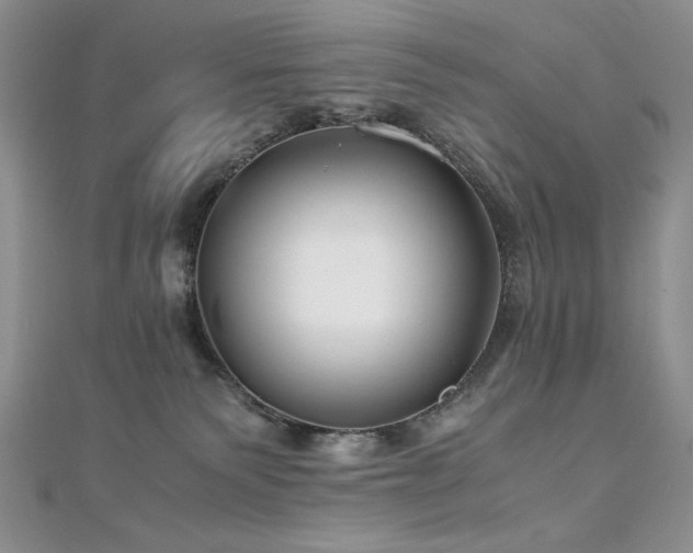 X0000110930135200906181437