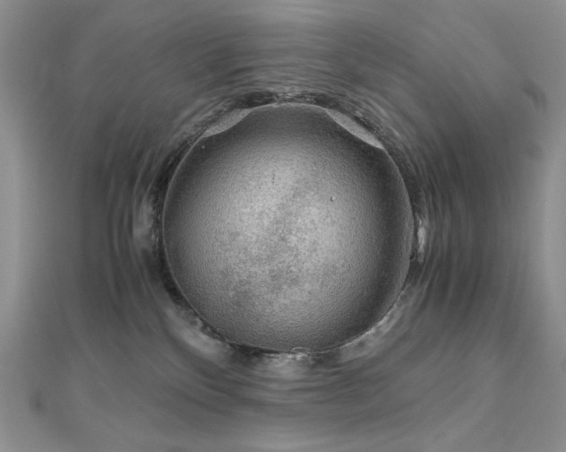 X0000110930136200906181437
