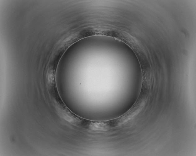 X0000110930137200906181437