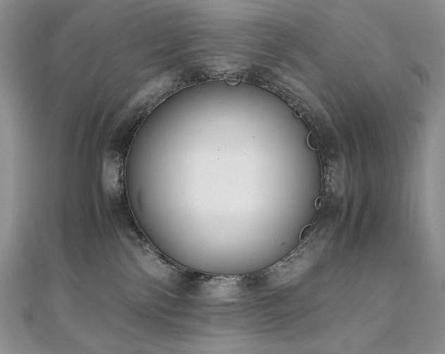X0000110930138200906181437