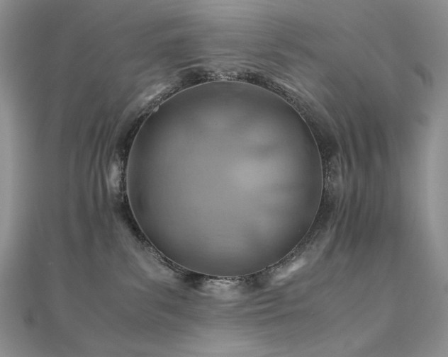 X0000110930139200906181437